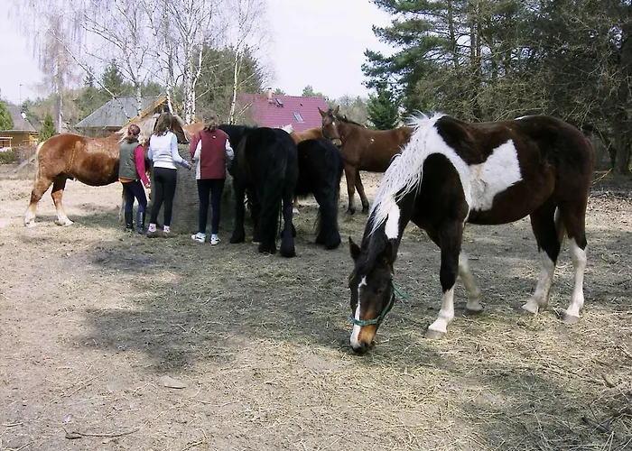 -waldhaus-fewo 4 דירה *