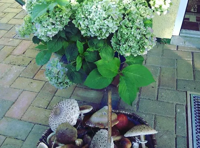 דירה -waldhaus-fewo 4