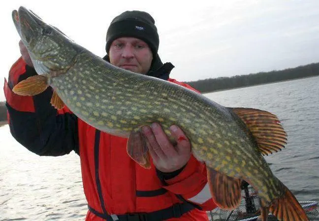 דירה -waldhaus-fewo 4 Granzow